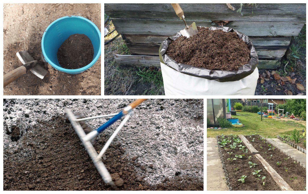 Городники розповіли, які десять добрив треба мати на новий дачний сезон 