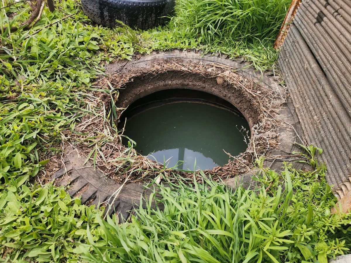 Експерти розповіли, як очистити вигрібну яму на приватній ділянці без виклику асенізатора