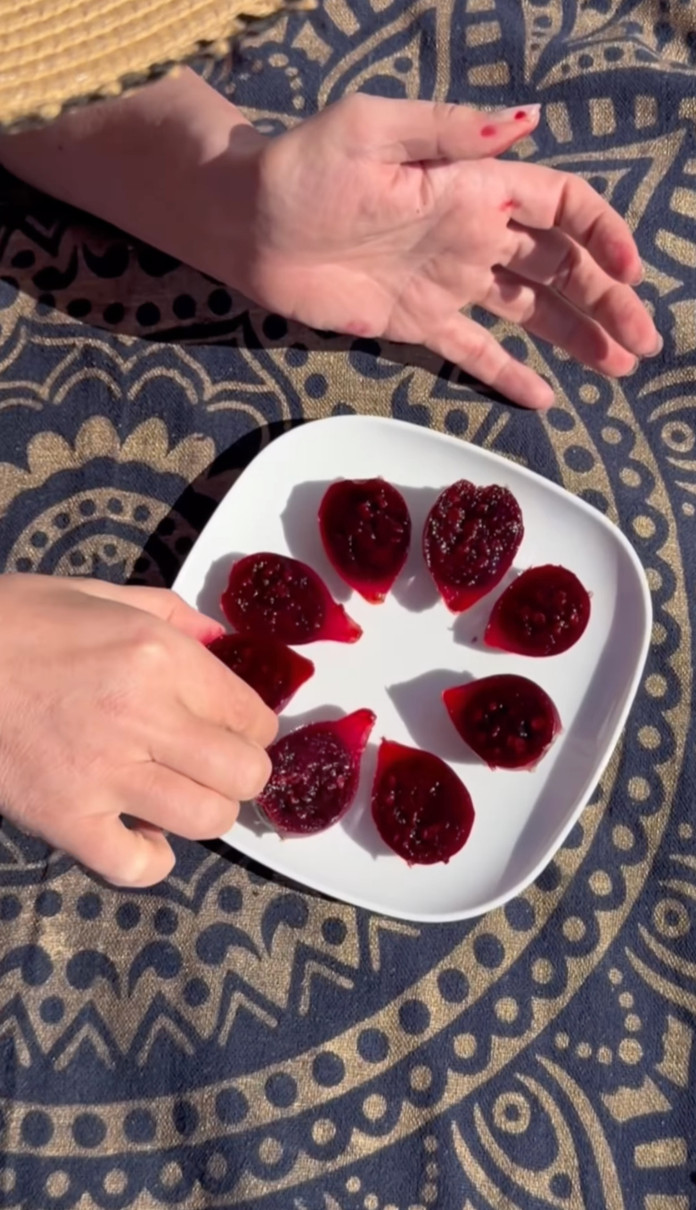 Наталія Могилевська поласувала кактусом коло океану