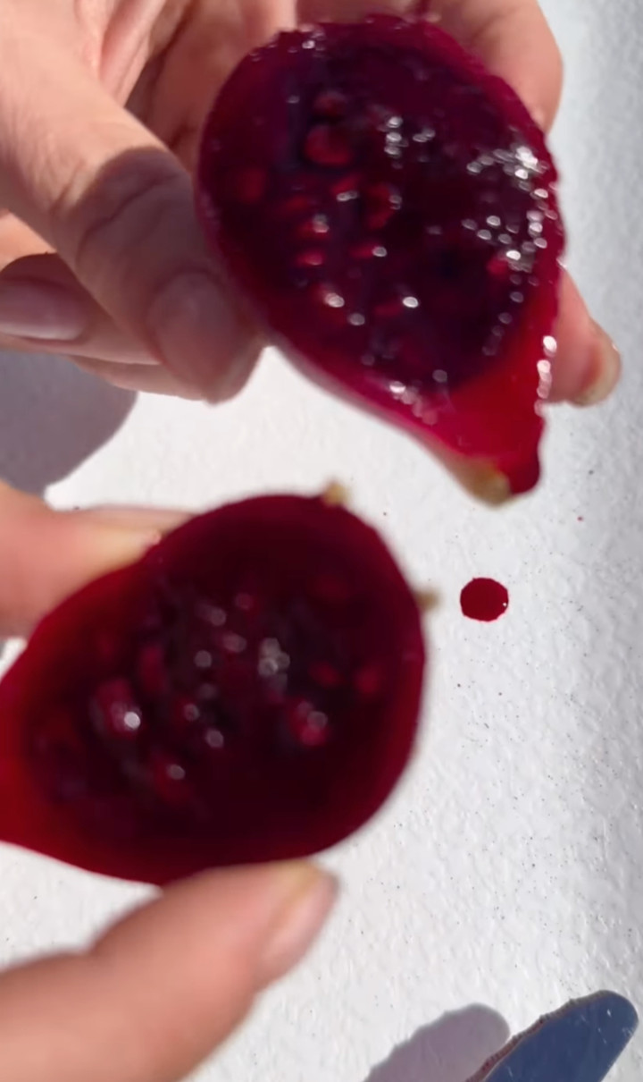 Наталія Могилевська з дочкою поїла кактус на Тенерифе