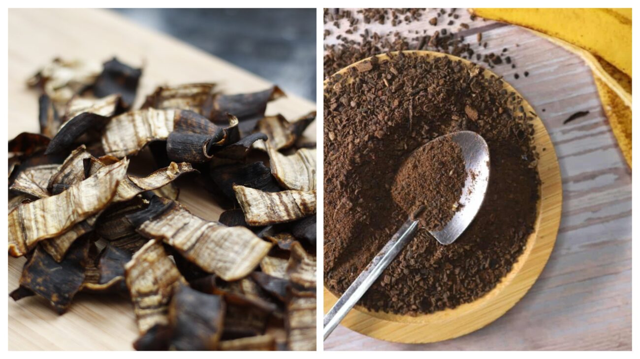 Городники розповіли, навіщо сушити протягом зими бананову шкірку 