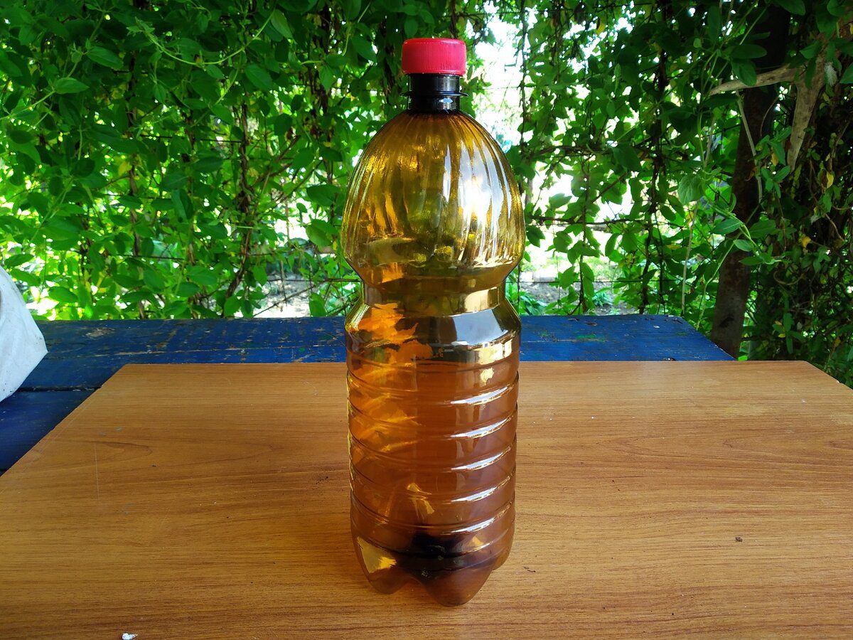 Експерти розповіли, як використовувати старі пластикові пляшки навесні для економії коштів