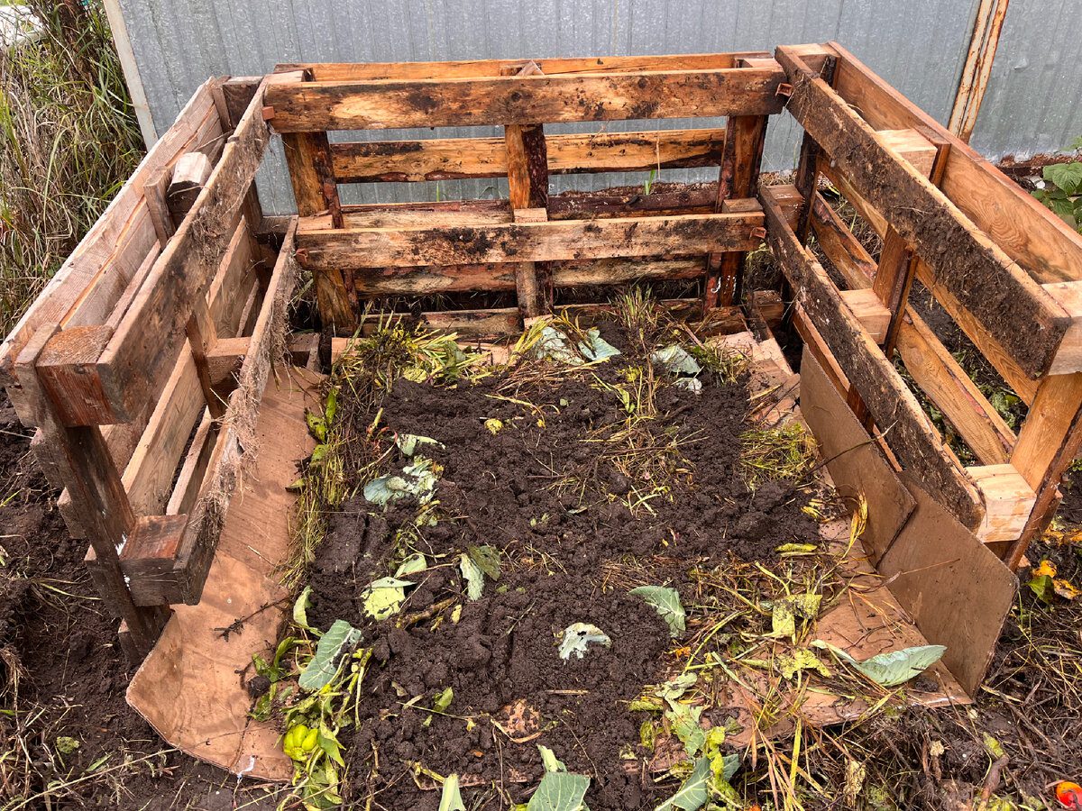 Садівники розповіли, як з користю використати картон на дачі