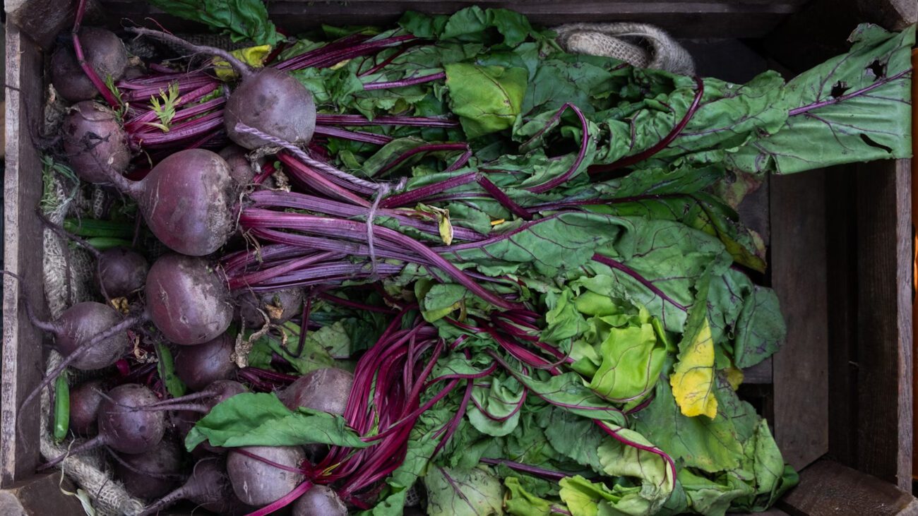 Агрономи назвали три найсмачніші сорти буряка для висаджування в 2026-му