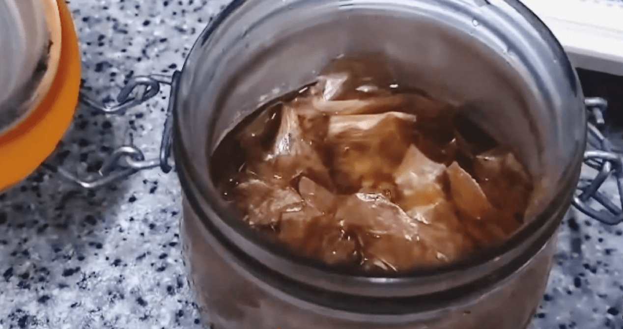 Городники дали точний рецепт підгодівлі для розсади