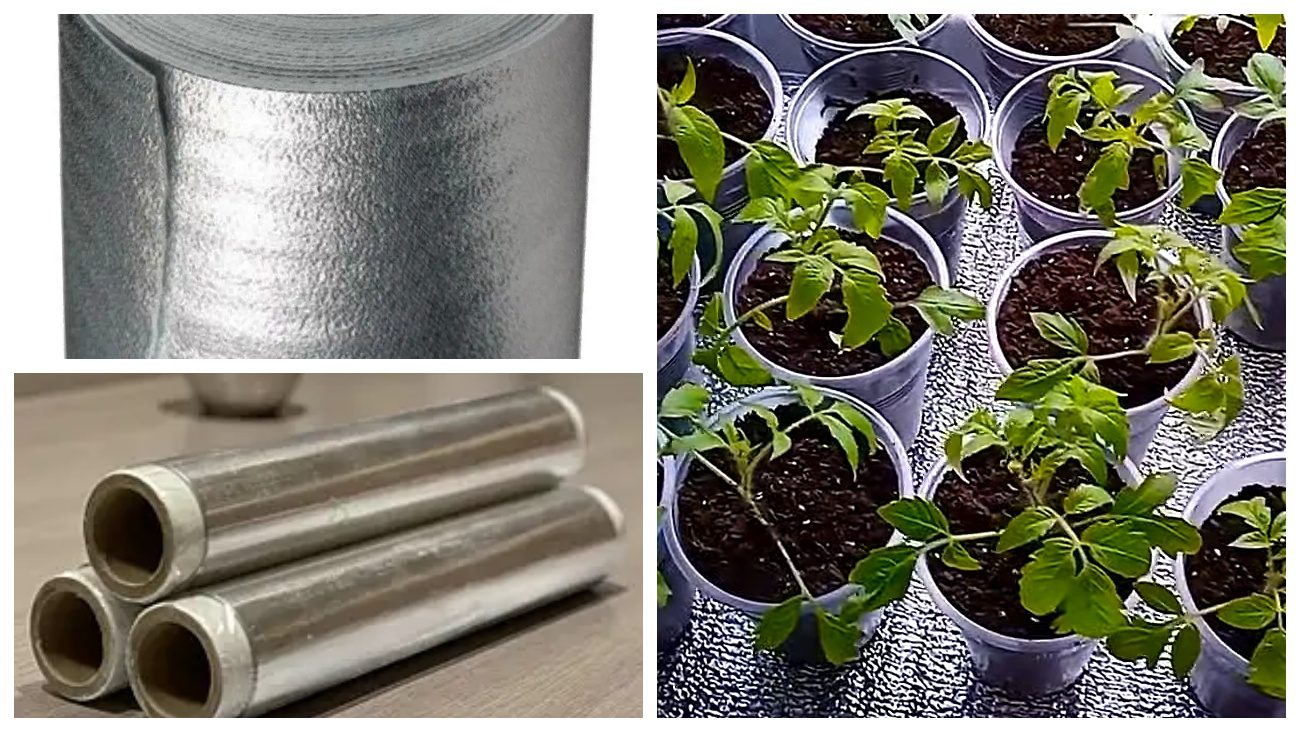 Городники розповіли про альтернативу лампам додаткового освічування для розсади