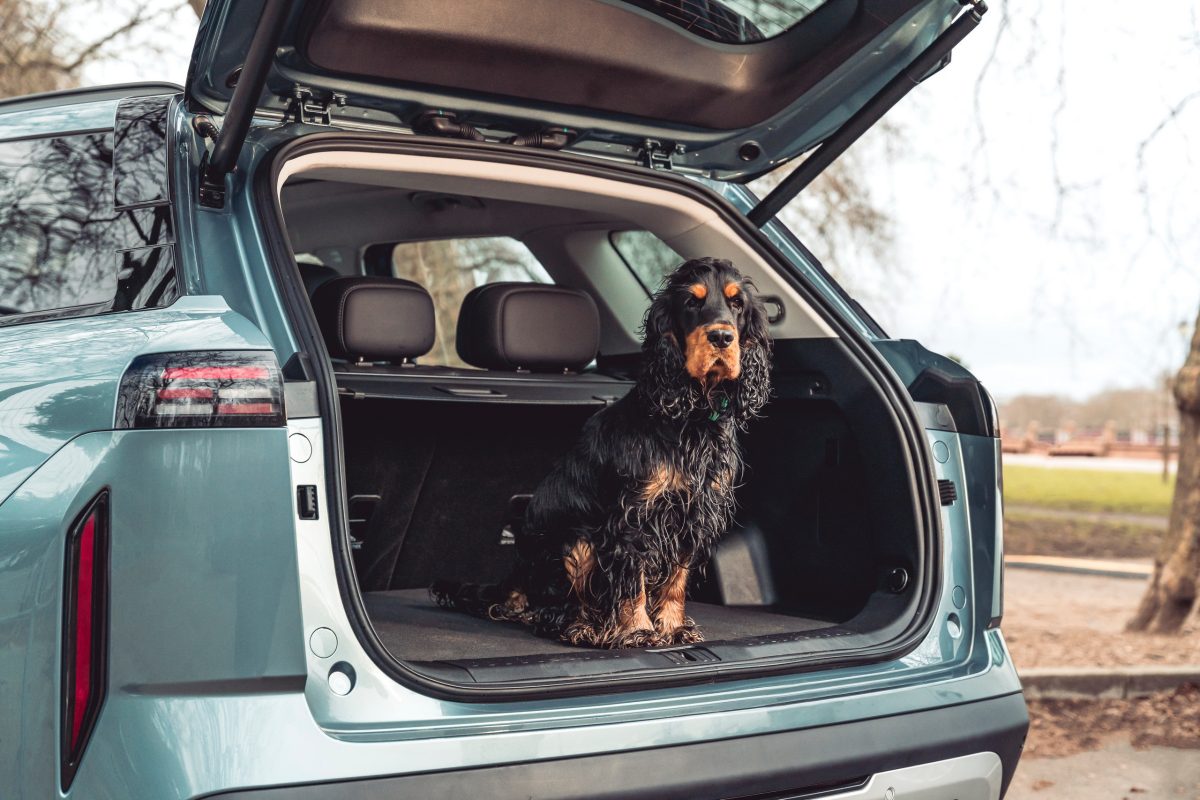«Range Rover із Temu»: як китайський клон підкорює ринок попри розгромні відгуки критиків - фото 4