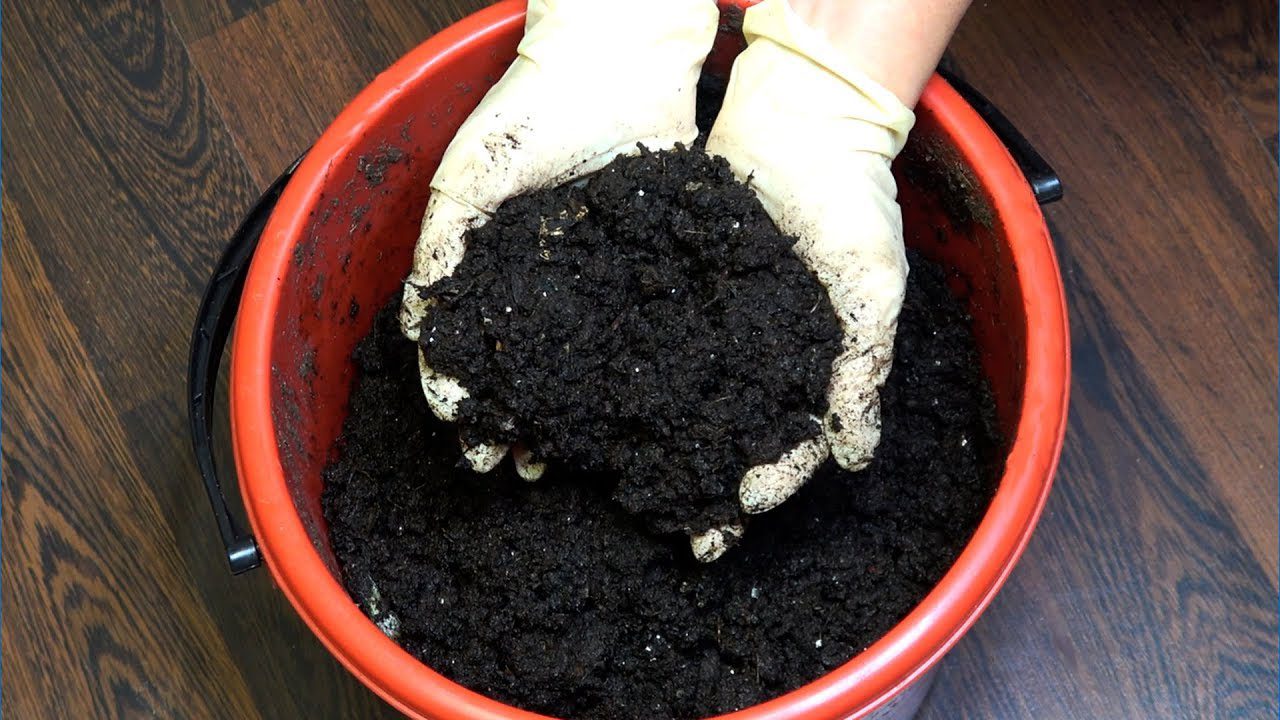 Городники назвали 3 основні добрива, які потрібні від розсади до збору врожаю