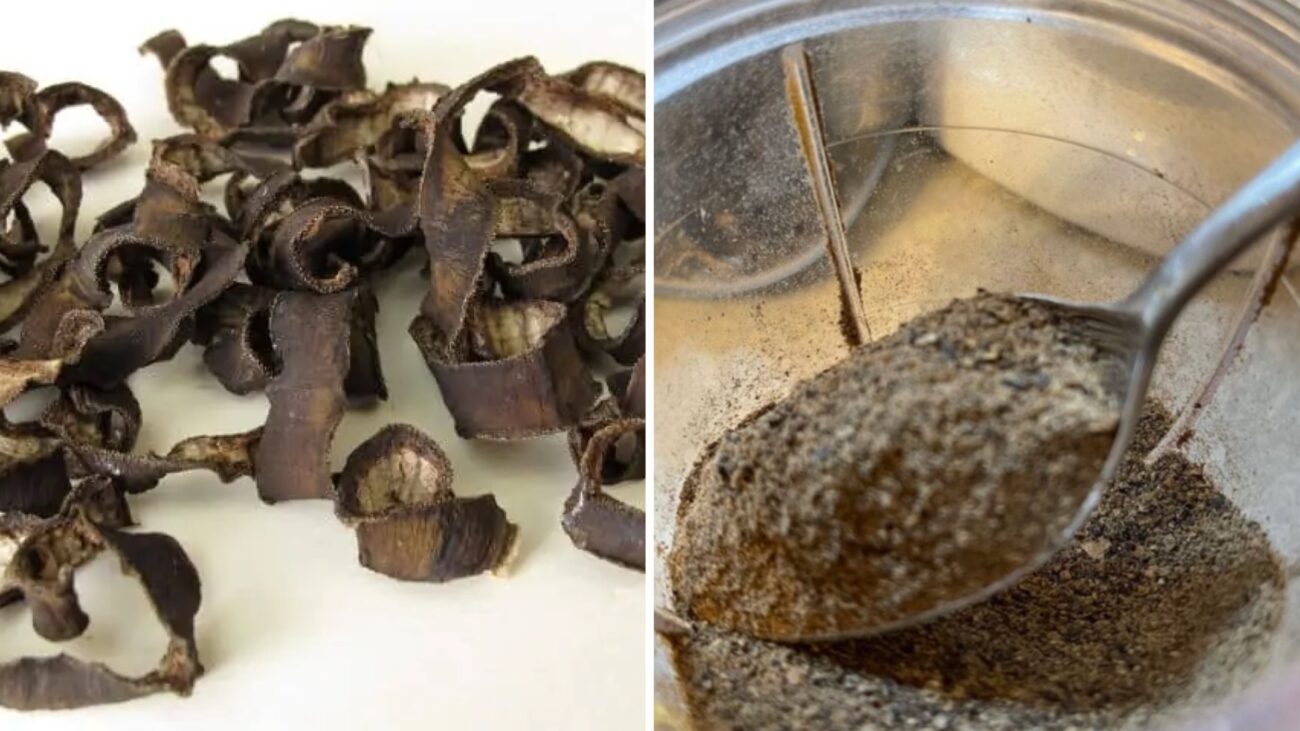 Городники розповіли, навіщо розкладати на городі бананові шкірки 