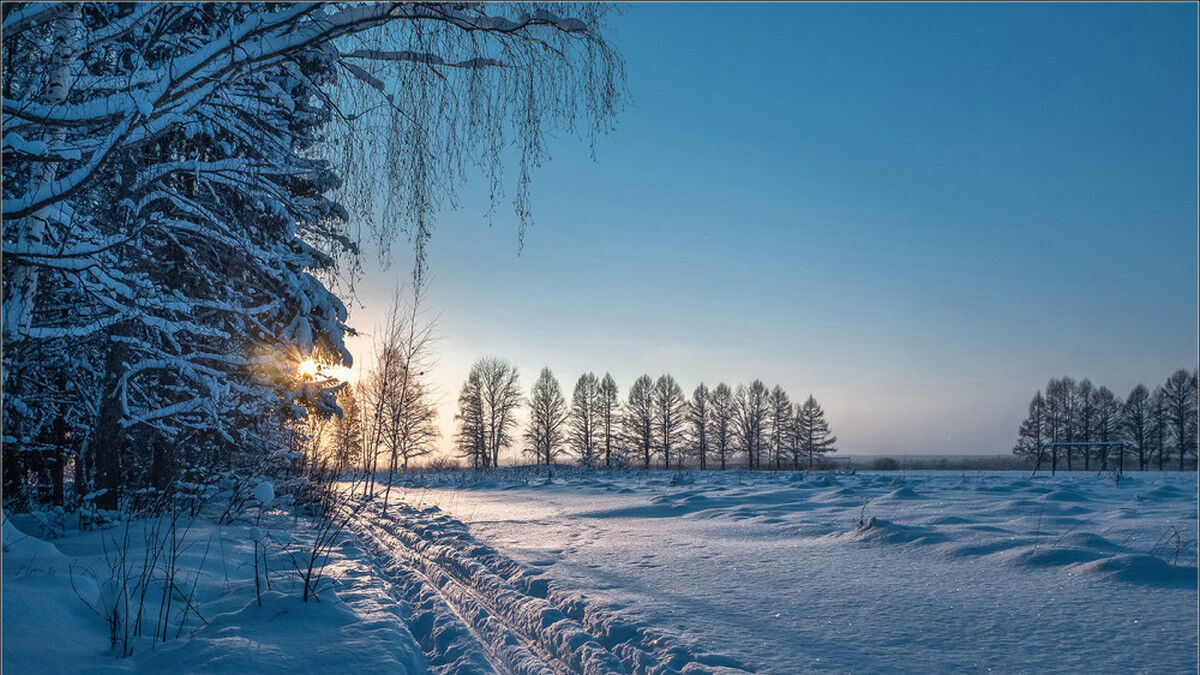 Погода в Україні 16 січня: який прогноз на п'ятницю - Blik