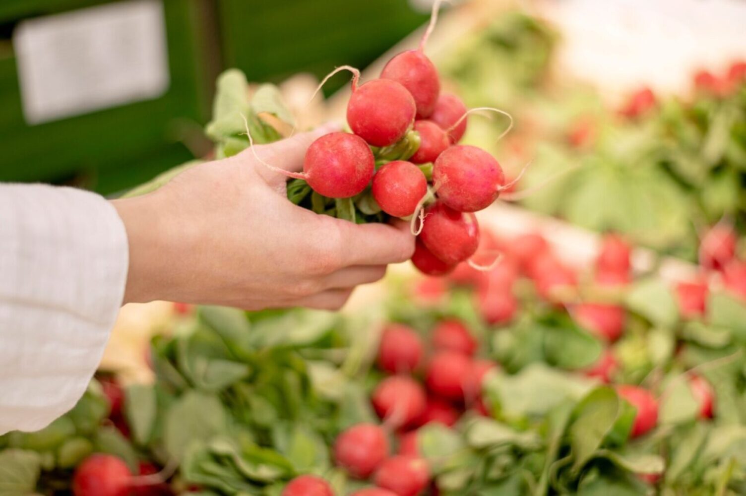 Агрономи розсекретили найсолодші сорти редиски, які дають врожай за 20 днів