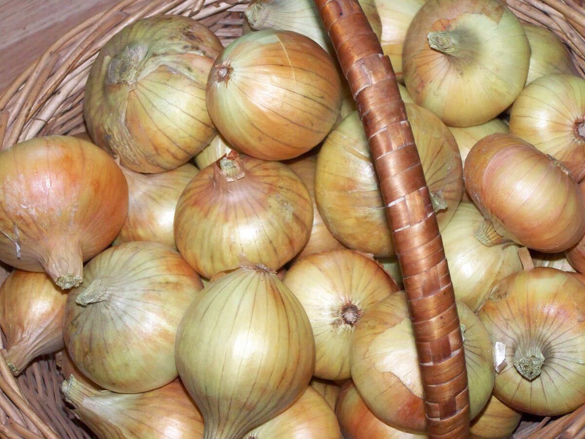 Господині сказали, як зберегти цибулю без холодильника до весни 
