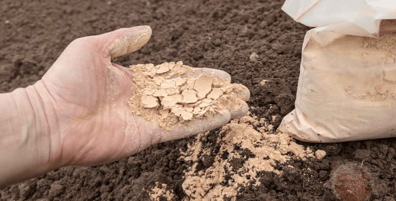 Городники назвали недороге добриво для відновлення ґрунту