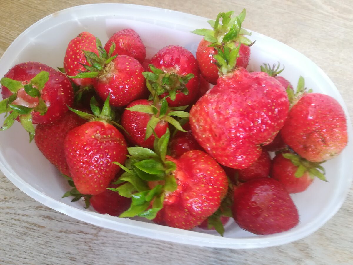 Садівники розповіли про найкращий сорт полуниці для ділянки