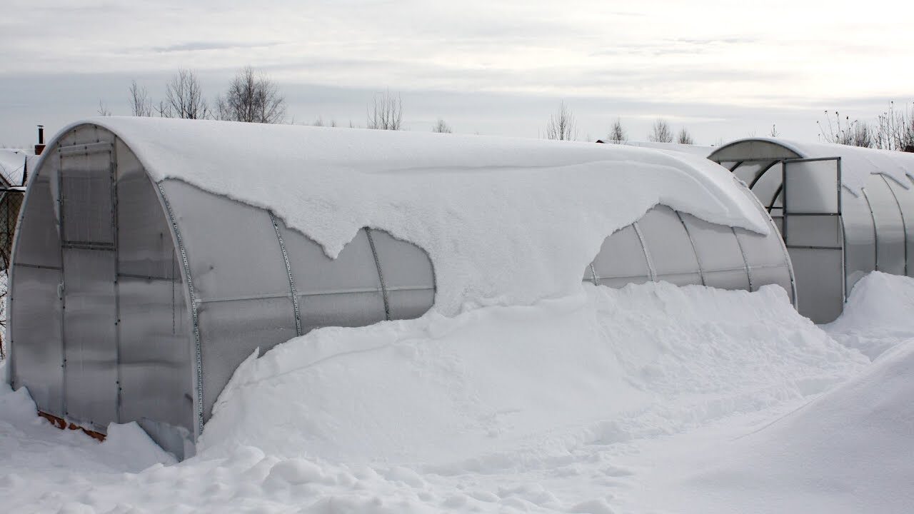 Експерти розповіли, як правильно вносити добрива по снігу