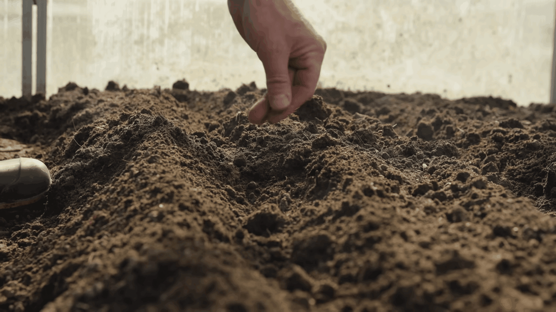 Експерти розповіли, чи варто проводити ранній посів