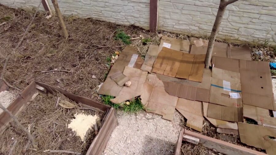 Садівники розповіли, як з користю використати картон на дачі