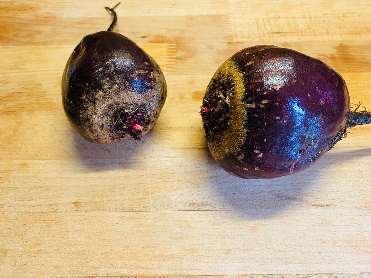 Городники назвали причини, чому буряк виростає дрібним