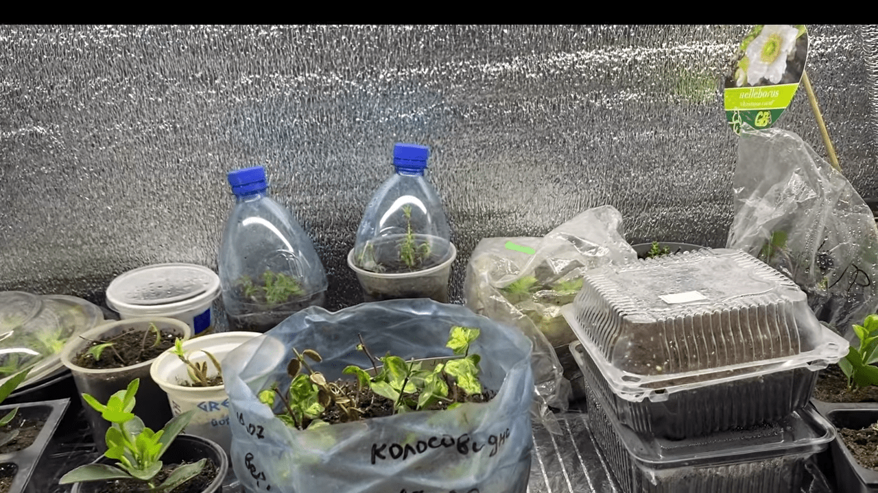 Експерти розповіли, як зробити мінітепличку власноруч