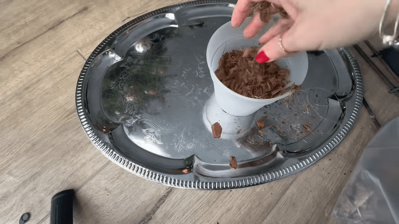 Квітникарі вказали на помилку, через яку орхідея повторно не цвіте