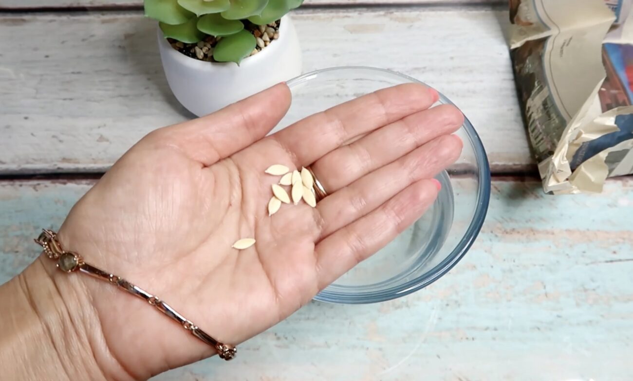 Городники розповіли, як без землі перевірити насіння на схожість