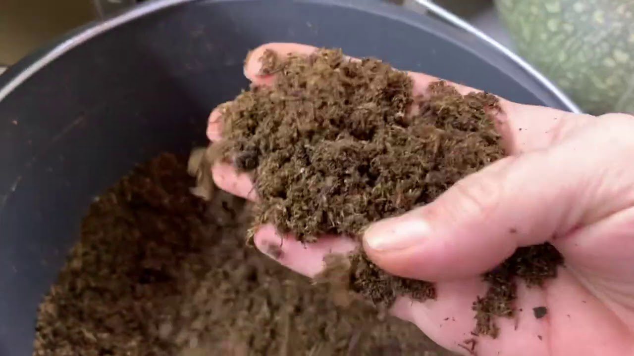 Дачники розповіли, де взяти якісний ґрунт для розсади та вазонів