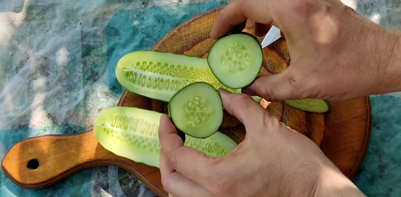 Городник чесно розповів про найхваленіший фермерами гібрид огірка