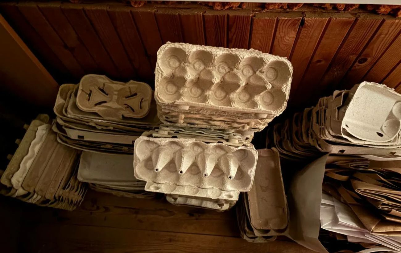 Експерти розповіли, як використовувати лотки з-під яєць для покращення свого побуту – порада