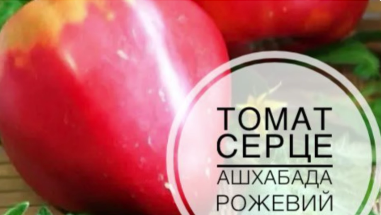 Городники назвали найкращі сорти томатів, які обов'язково посадять у 2026 році