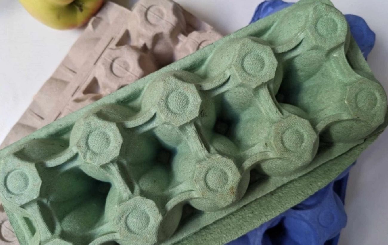 Садівники розповіли, як лотки від яєць допоможуть у вирощуванні розсади – народна порада