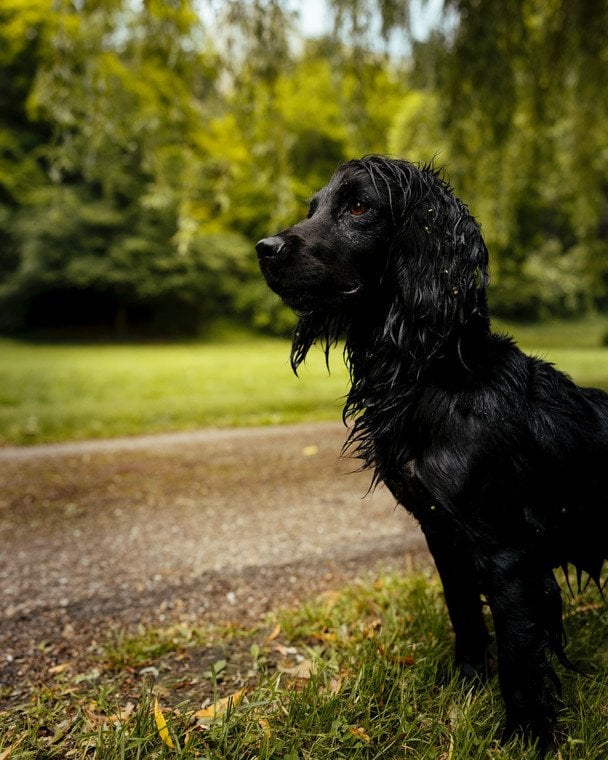 Орла / © Instagram принца і принцеси Уельских
