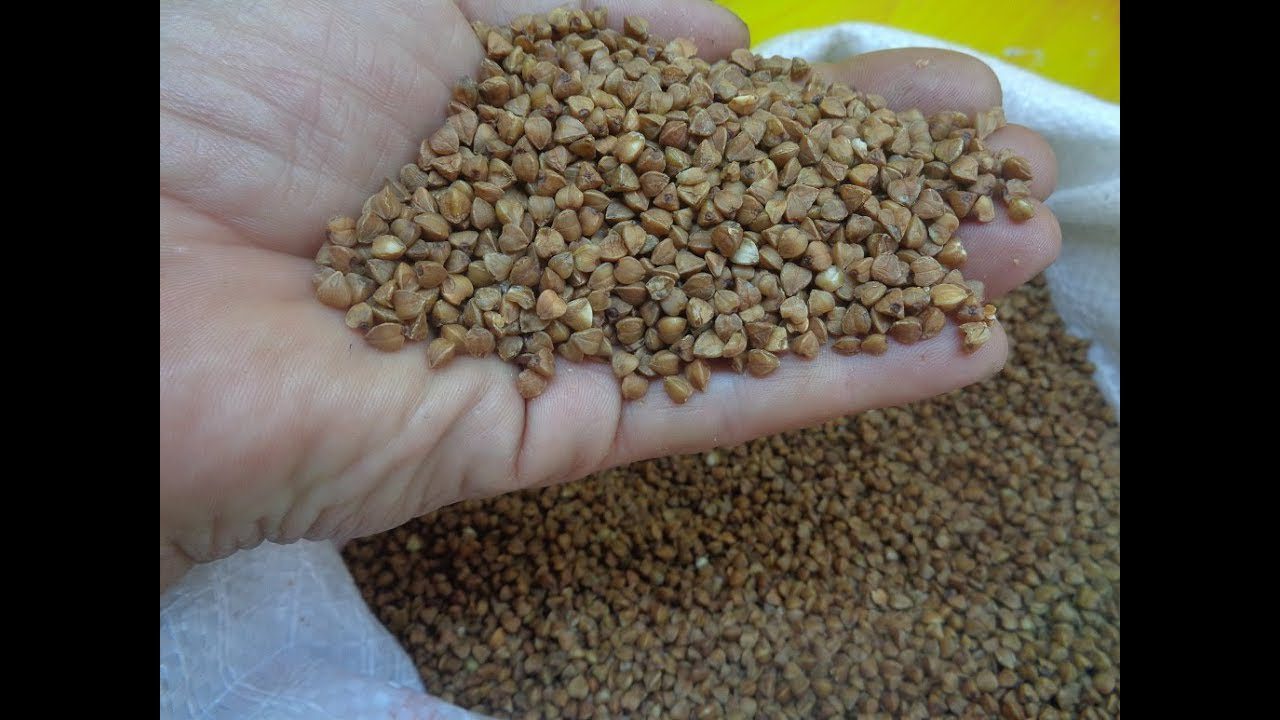 Експерти назвали крупу, яка покращить стан ґрунту