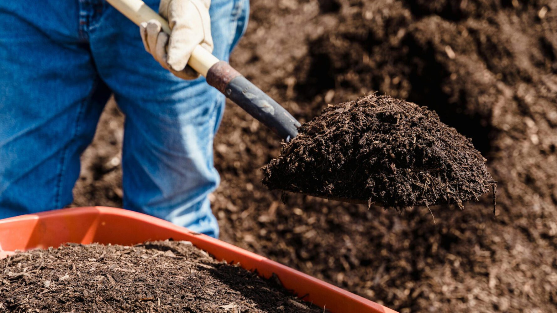 Городники розповіли, які добрива обов'язково потрібно внести до теплиці восени