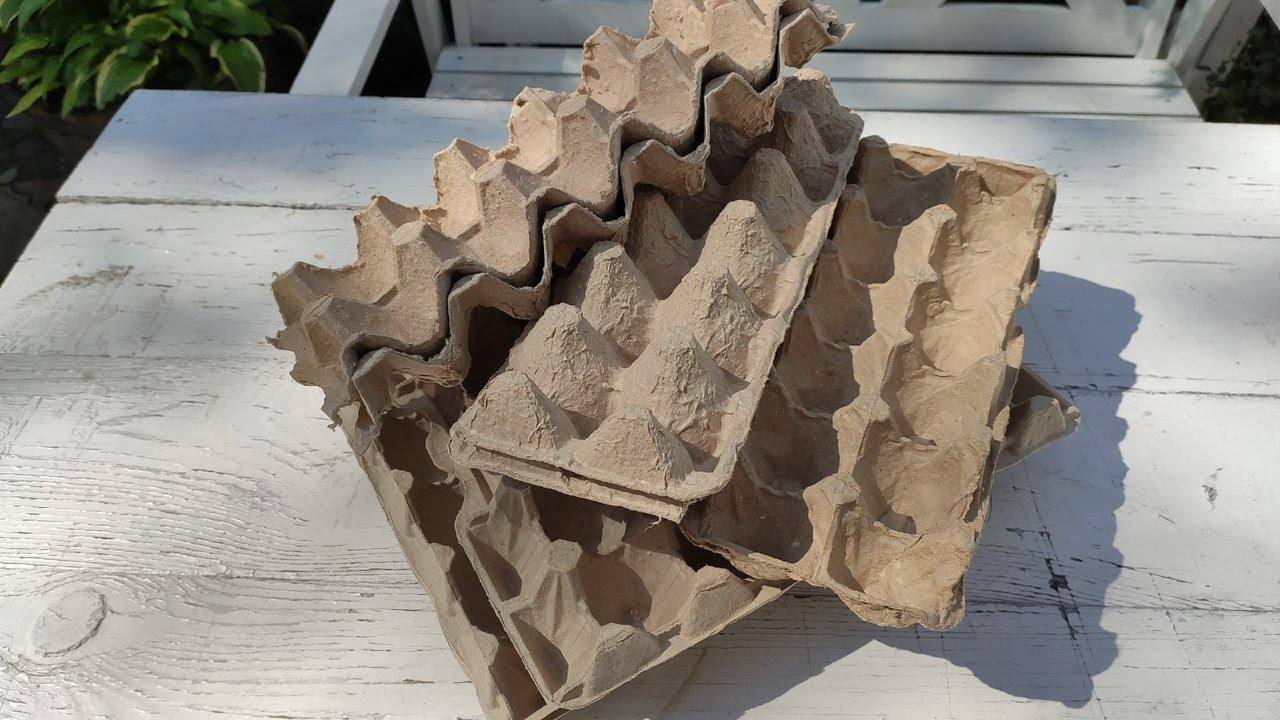 Садівники розповіли, як використати лотки від яєць з користю