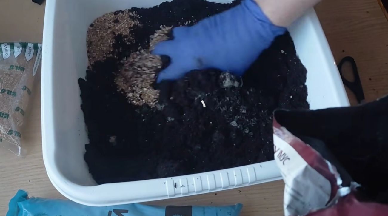 Городники розповіли, як підготувати ґрунт, щоб коріння розсади не загнивало