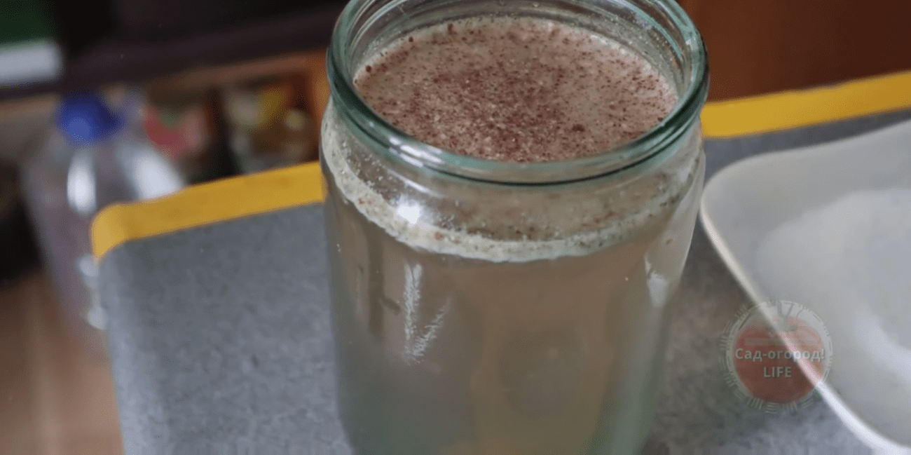 Городники розповіли, як з яблучних обрізків приготувати підживлення для розсади