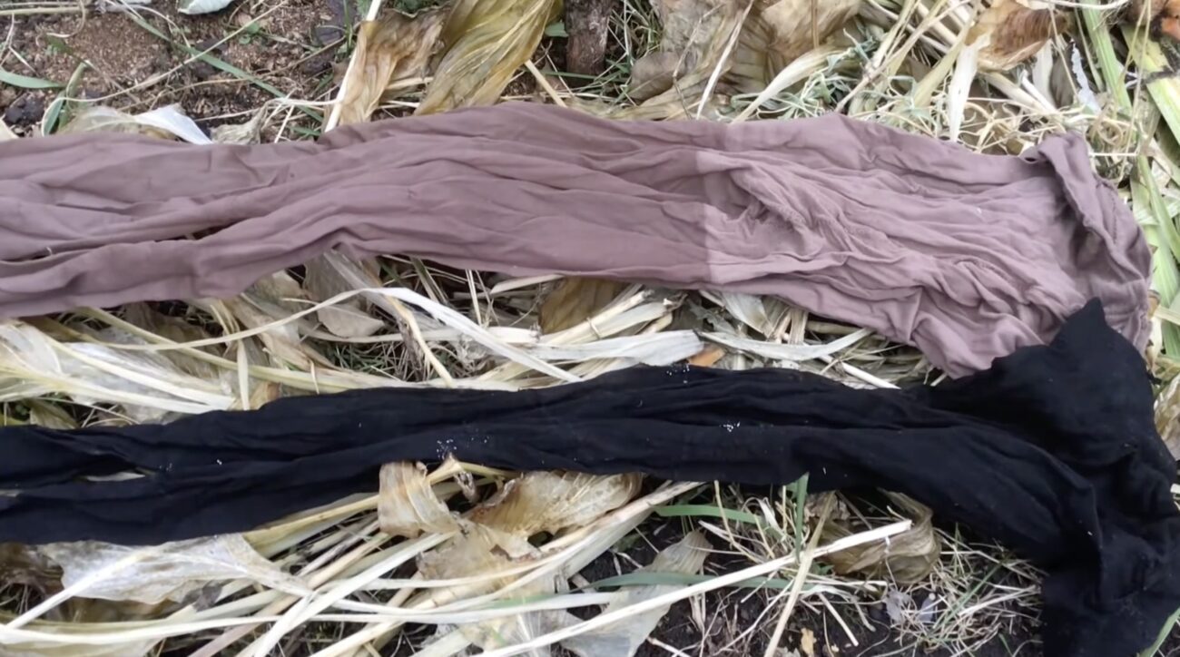 Садівники розповіли, як використати старі колготи в саду з користю