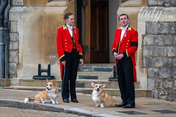 Коргі королеви Єлизавети II / © Associated Press