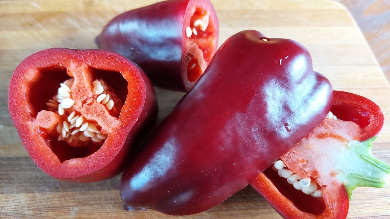 Городники пояснили, як покращити врожайність болгарського перцю без витрат і клопоту