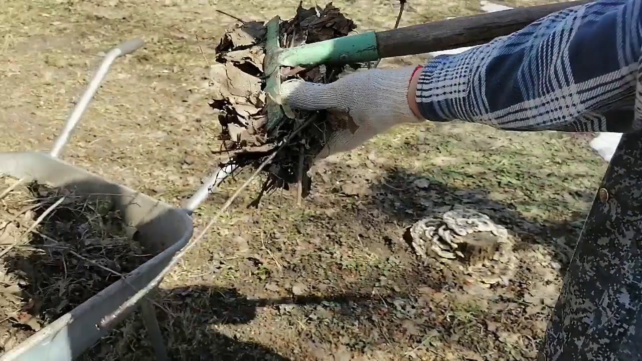 Городники розповіли, як перетворити опале листя на цінне добриво для грядки