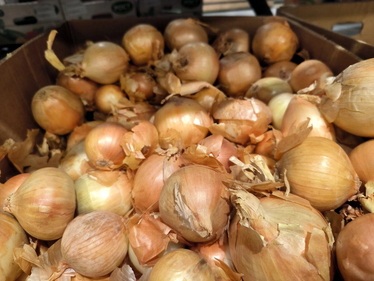 Господарі розповіли, як використовувати капронові мішки з-під цибулі 