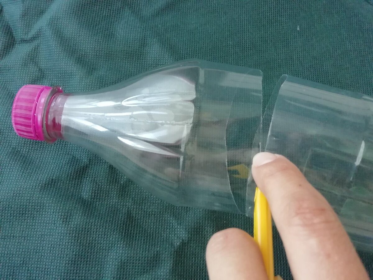 Городники розповіли, як покращити врожайність огірків на грядці за допомогою пластикових пляшок