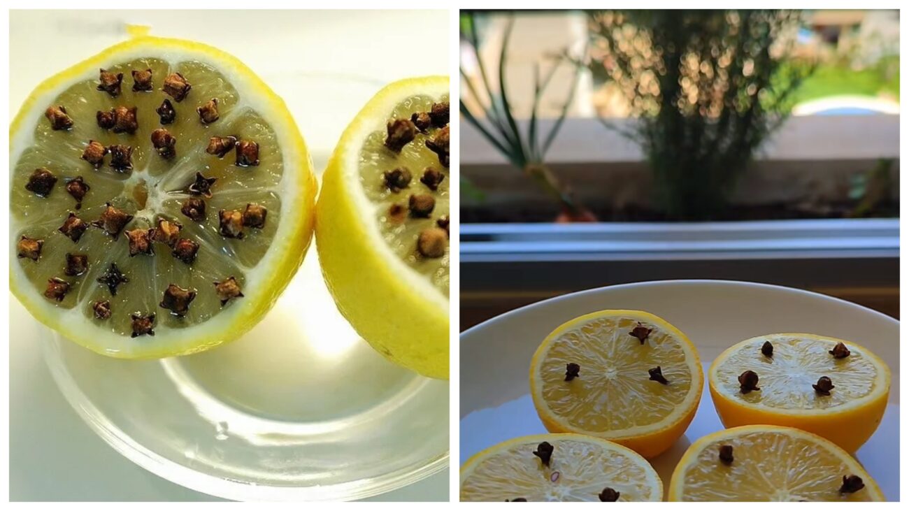 Господині розповіли, як своїми руками зробити ароматизатор з лимону 