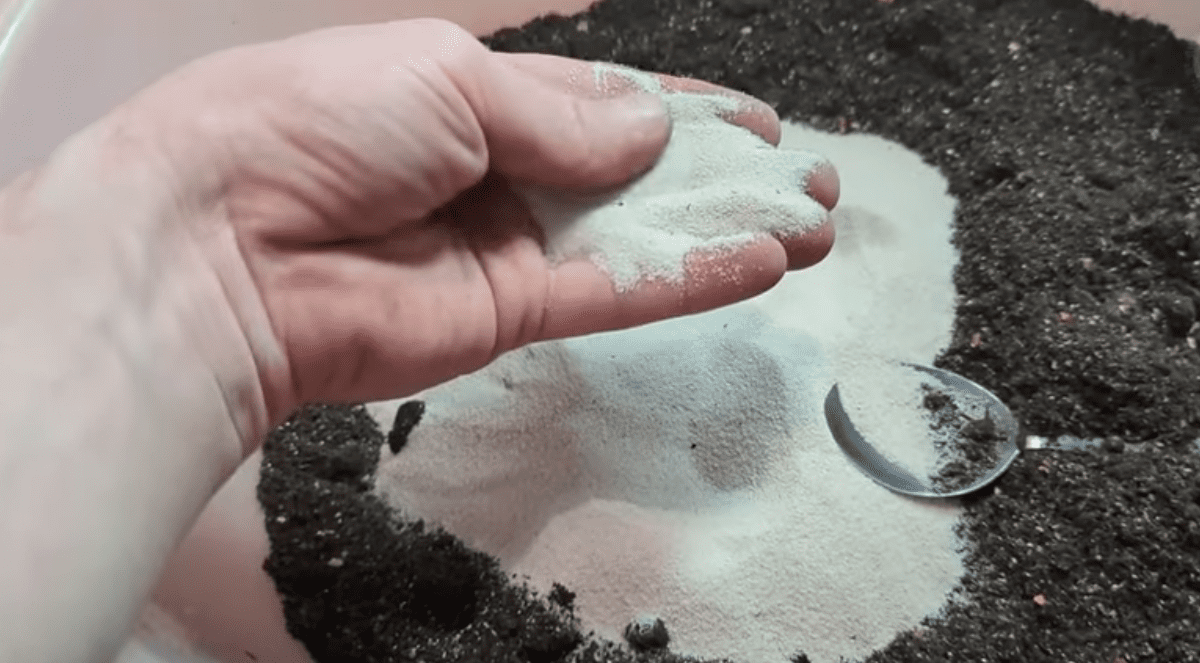 Городники розповіли, як зробити ґрунт для розсади пухким та родючим