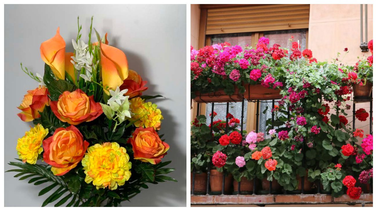 Садівники порадили 4 рослини-супутниці троянд