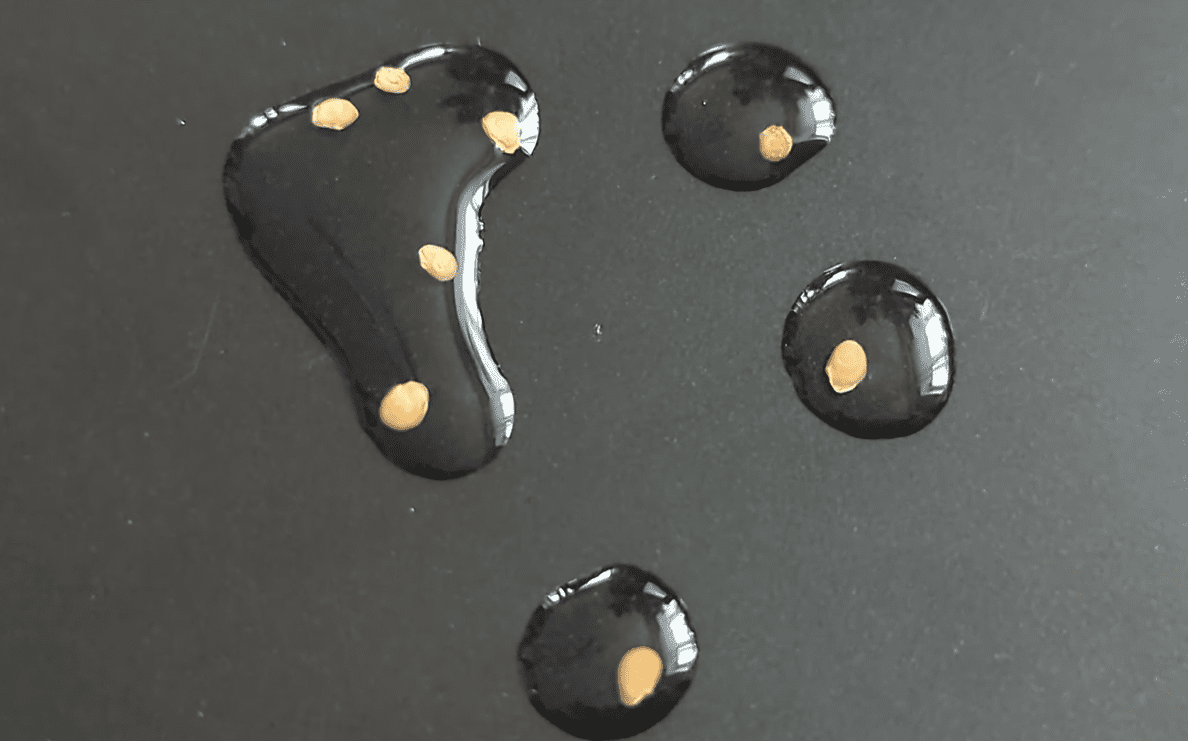 Садівники розповіли, з чого насправді починається міцна розсада