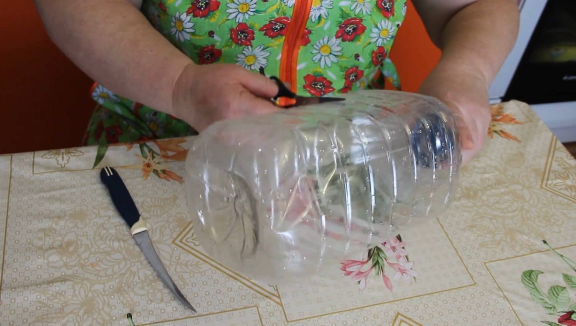 Городники розповіли, як із пластикової пляшки зробити мініпарник для розсади