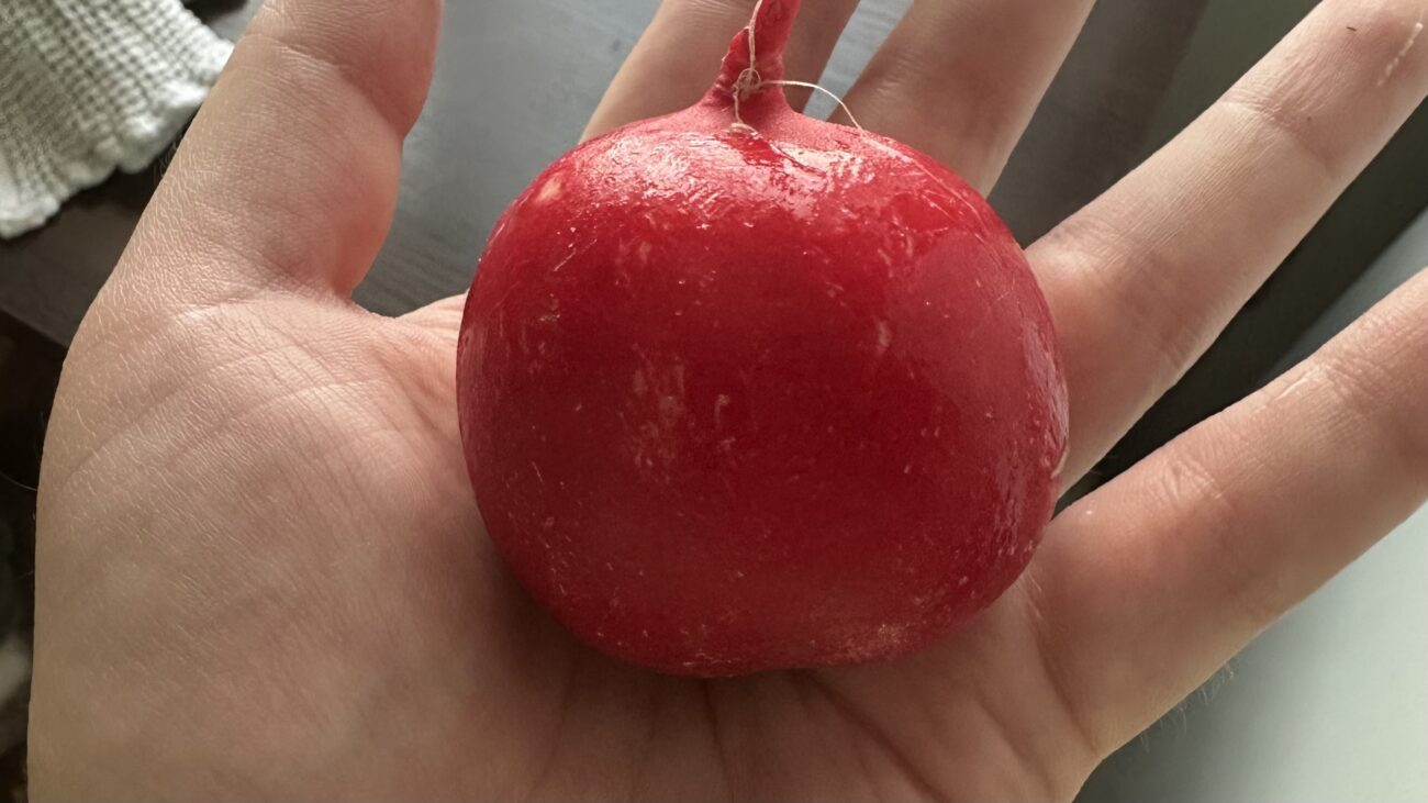 Городники розповіли, як отримати ранній врожай редиски