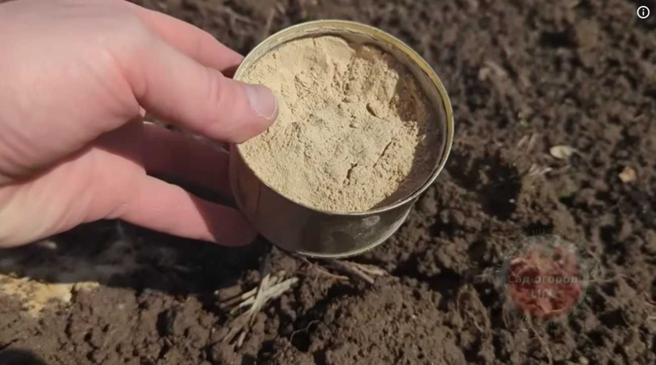 Городники розповіли про найефективніше весняне добриво, яке краще за гній і золу