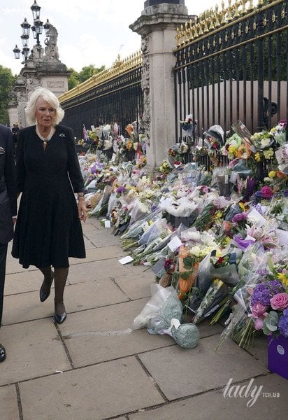 Король Чарльз III та королева-консорт Камілла / © Associated Press